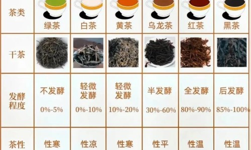 权威身上不定期起红疙瘩越挠越痒平台,分享专业身上不间断的起红疙瘩知识_身上老是不定时起一片红疙瘩网
